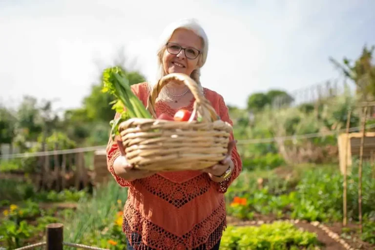 Building Your Own Vegetable Garden