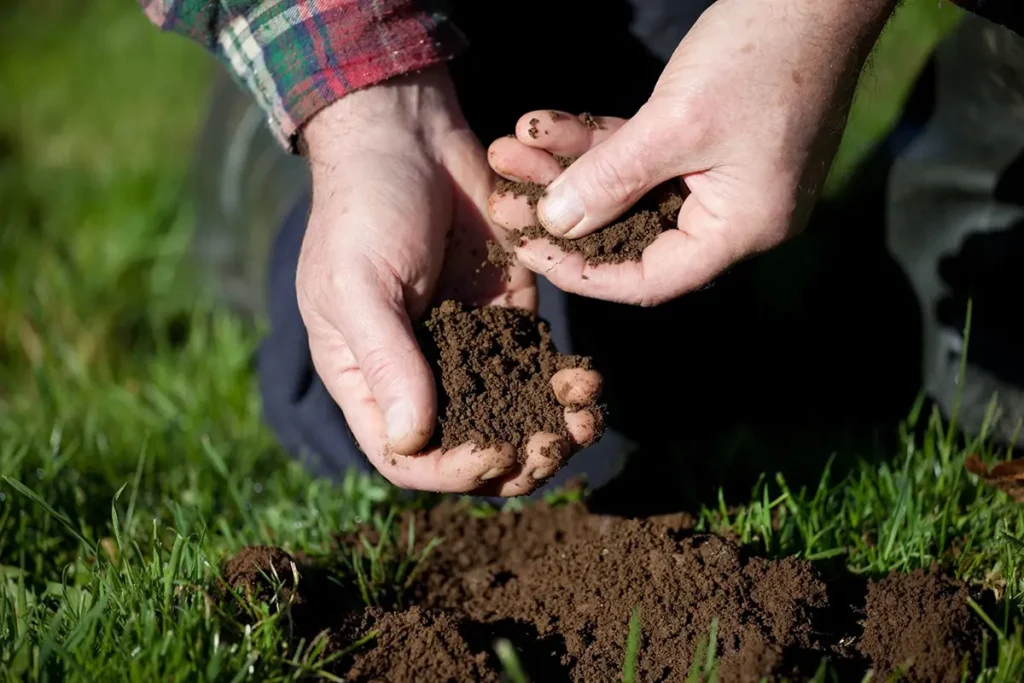 Soil - The Living Layer Of Earth